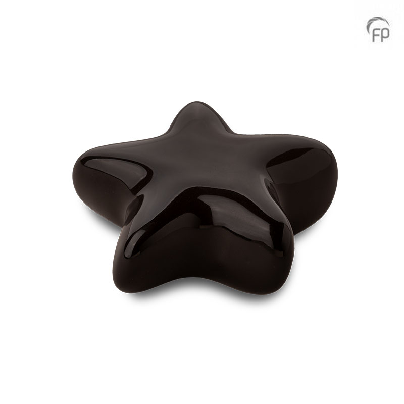 FPU 062 Keramische kunst urn keepsake Asteri